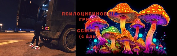мет Пролетарск