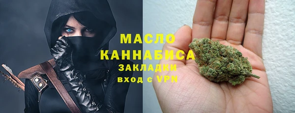 МДПВ Протвино
