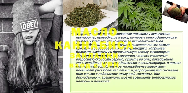 МДПВ Протвино