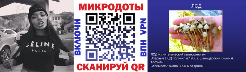 Псилоцибиновые грибы Psilocybine cubensis  Красавино 